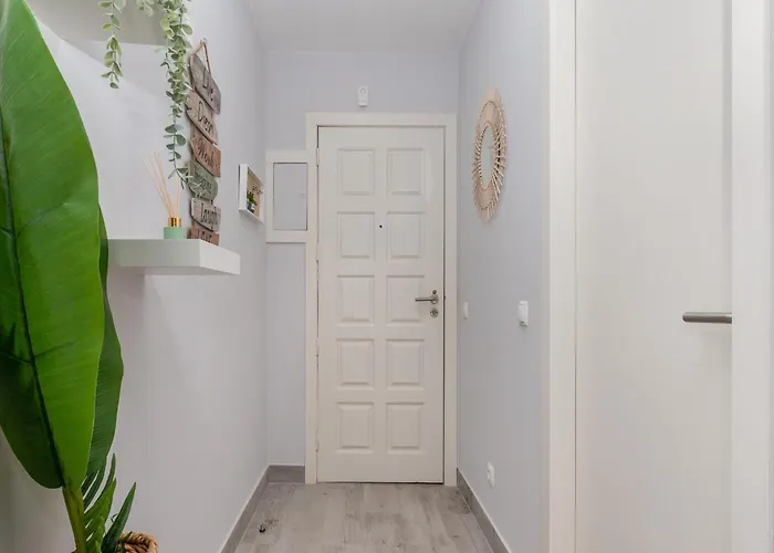 Daire Akisol Rocha Free *