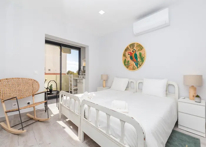 Akisol Rocha Free Daire *